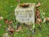image number Taylor Violet M 212